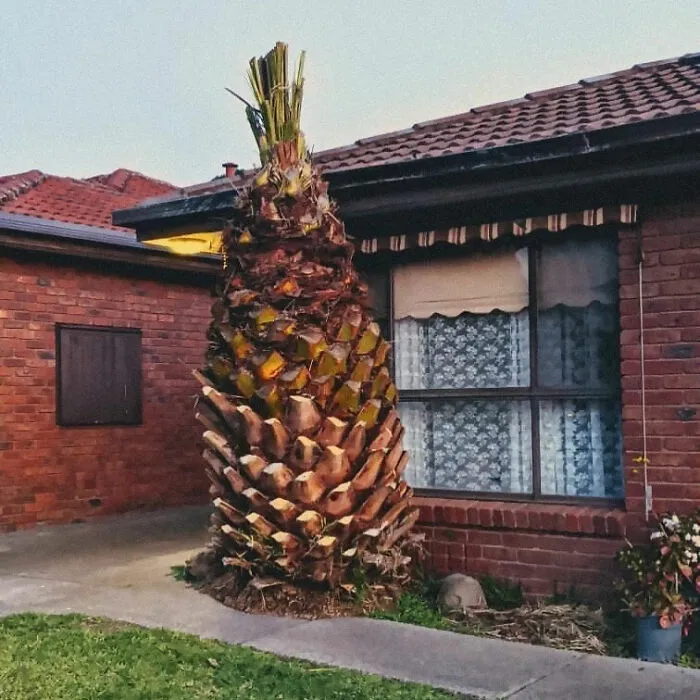 If You Like Piña Coladas, And Getting Caught In The Rain