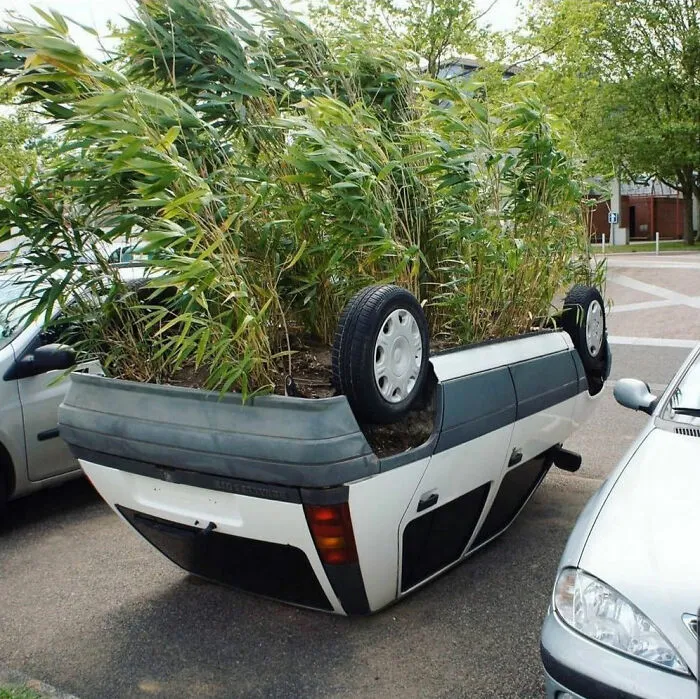 Bring Greenery Back Into Our Urban Parks