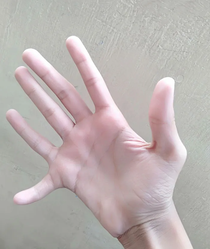 To All The People With Four Fingers. Kneel Before Me