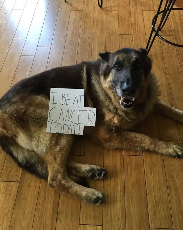 Hoy he vencido al cáncer