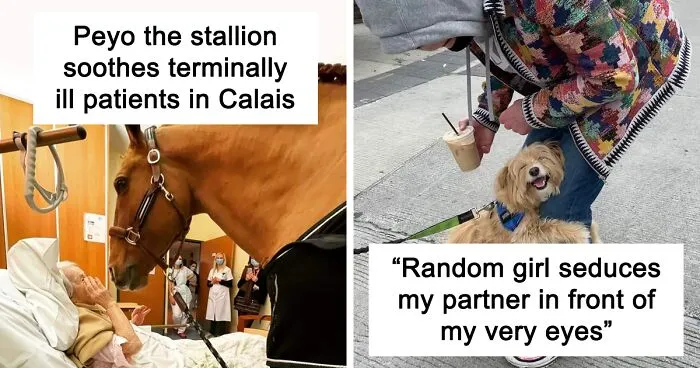 If You're Feeling Down, These 50 Wholesome Pics Might Lift You Up (New Pics)