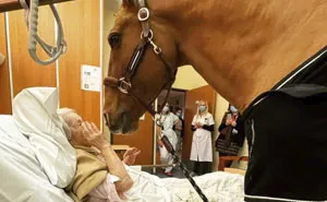 If You're Feeling Down, These 50 Wholesome Pics Might Lift You Up (New Pics)