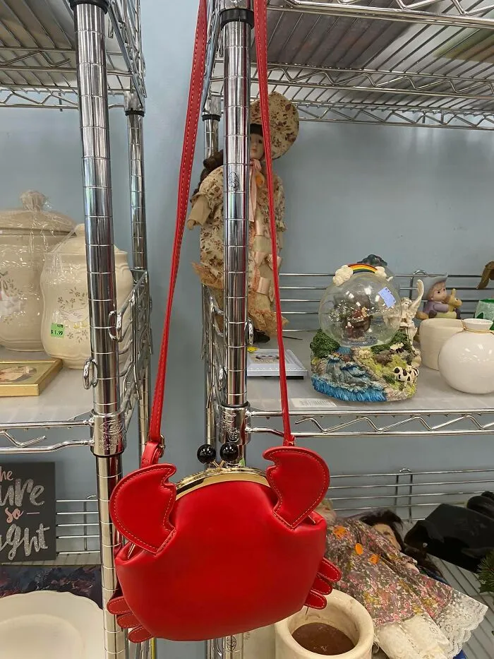 Found A Crab Purse While Thrifting. He Went Home With Me!