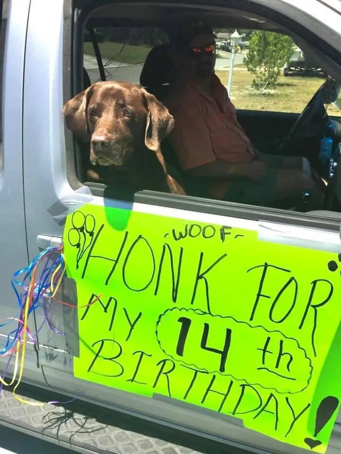 My “Brother” Turned 14 Years Old Today! He Enjoyed A Long Car Ride, Swimming In The Ocean And Some Cheeseburgers! Everyone Wish Dakota A Happy Birthday