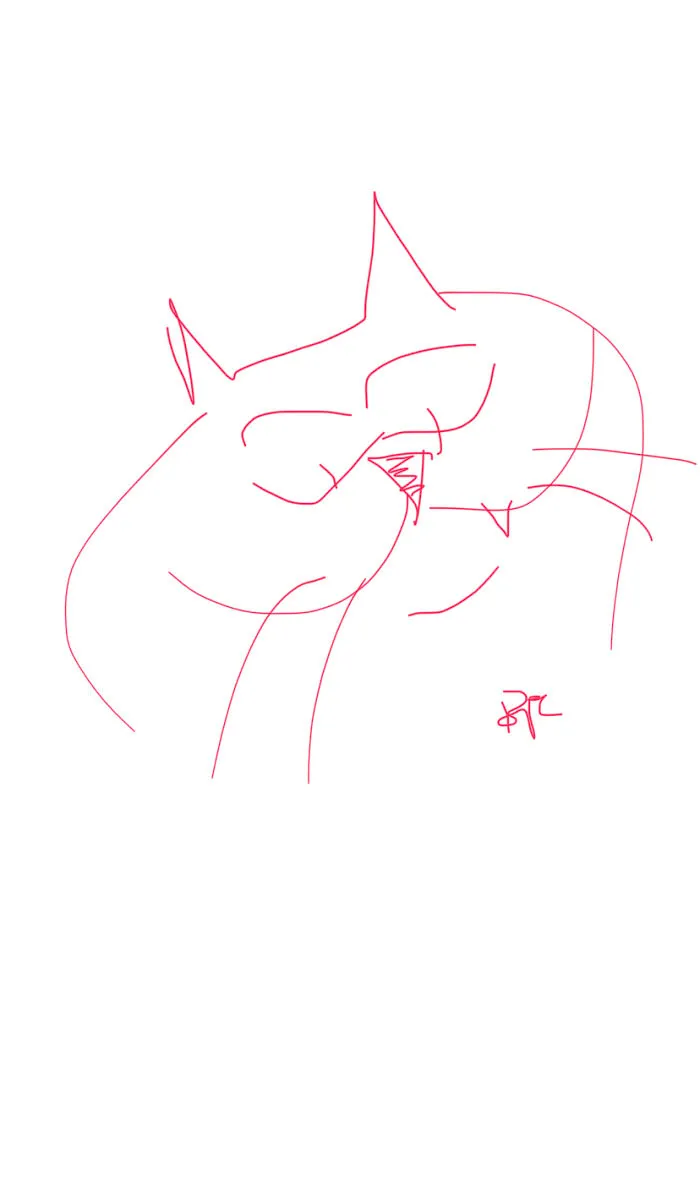 “Drawing” This Cat Next To My Signature Since 1987