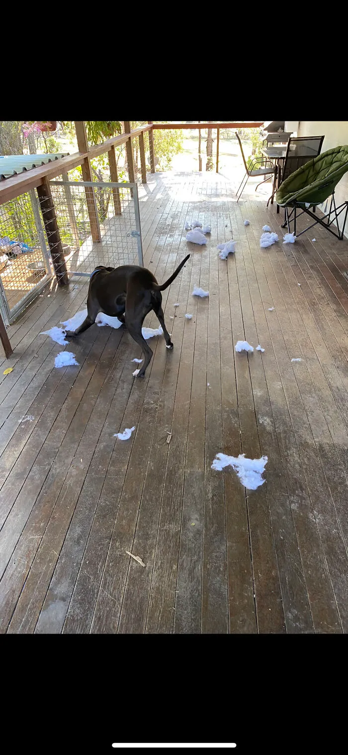 Soft Toy Carnage!