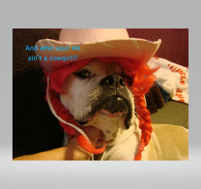 Lucyloo, My Girl.  Rip