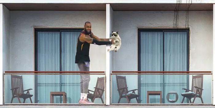 This Artist Photoshopped 30 Memes Living Together In An Apartment Building
