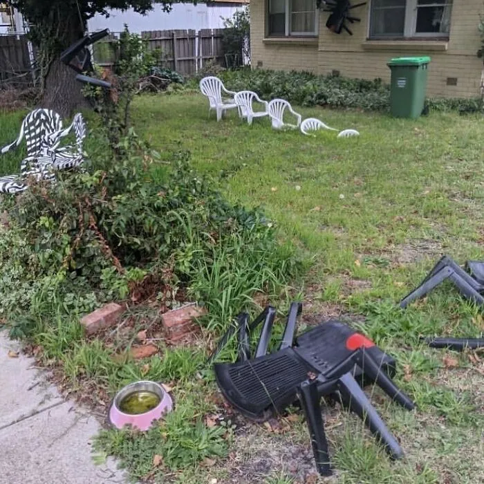 Dali Of The Suburbs