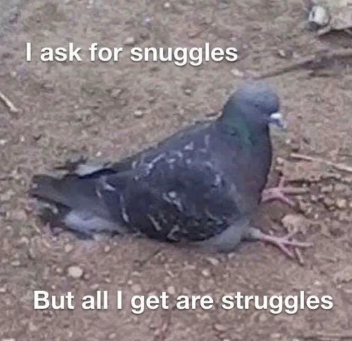 Who Else Can Personally Relate