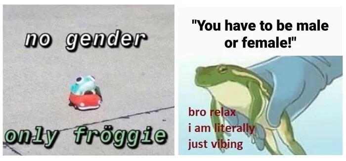 I Love These 😄 🐸