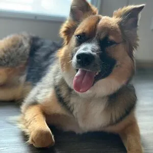 Hello