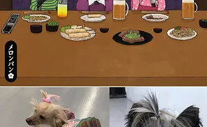 I Captured The Personalities Of These Pets To Make My 13 Latest Illustrations