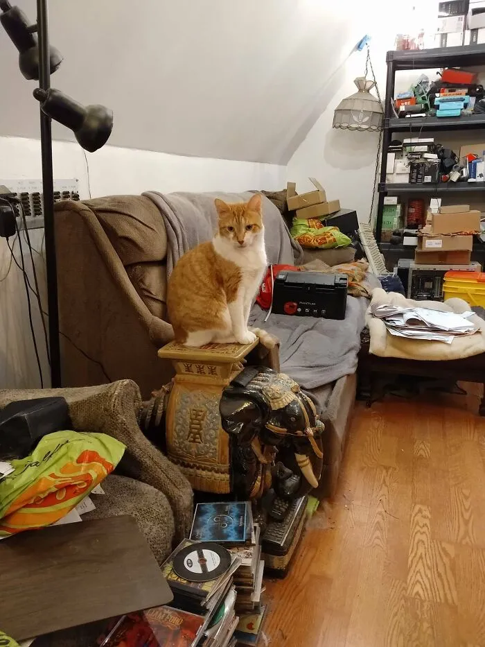 Benny