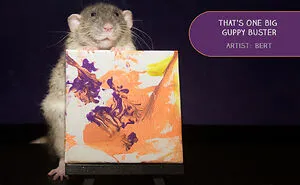 My Rats Make Art And Spread Happiness In Their Paintings