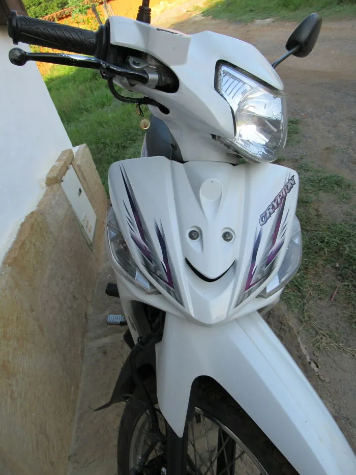 Motito feliz