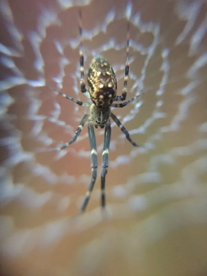 Up Close And Personal.