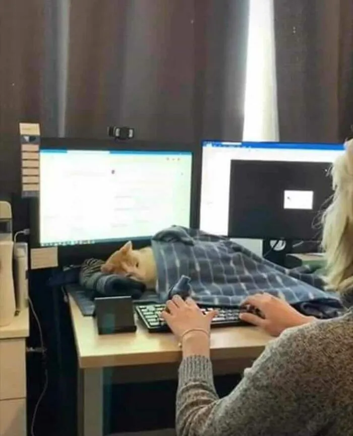 Por favor, detente, estoy intentando dormir