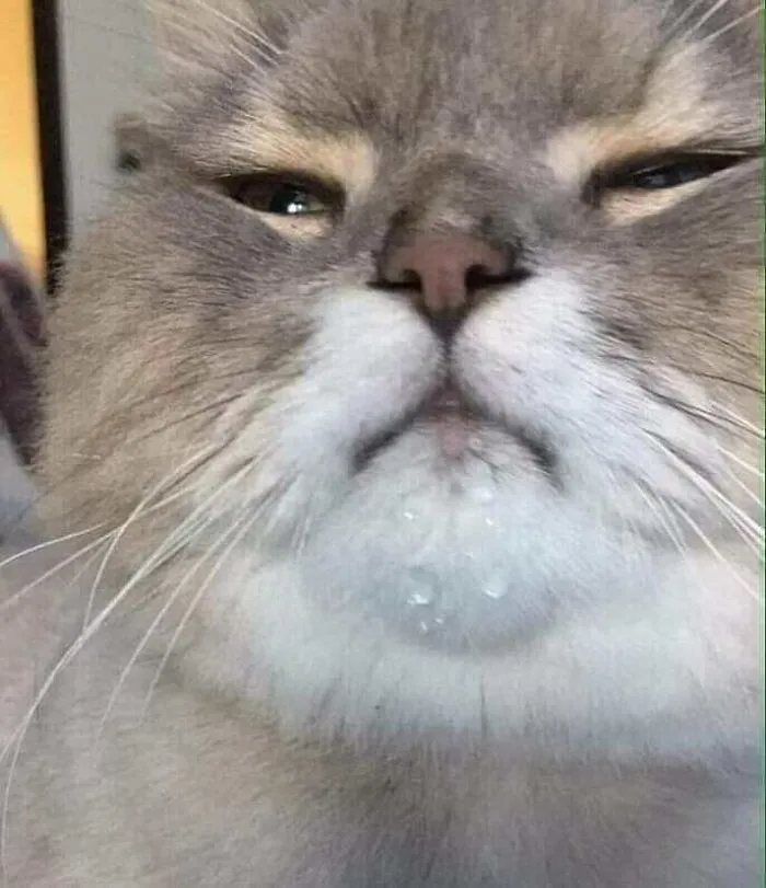 Yo, después de cenar