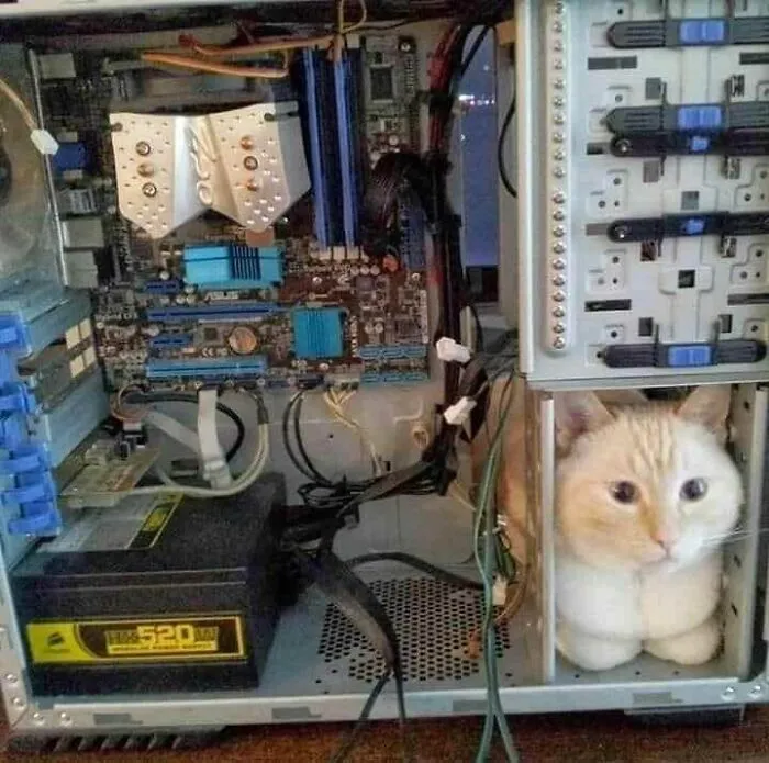 Acabo de obtener una nueva computadora