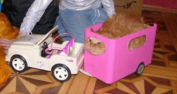 Listo para viajar