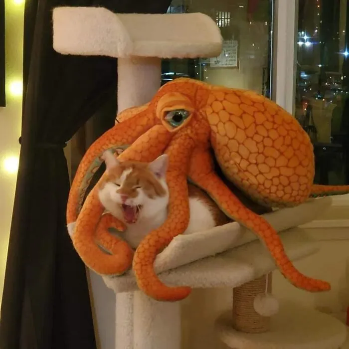 Aaaaaaaaaaaaah