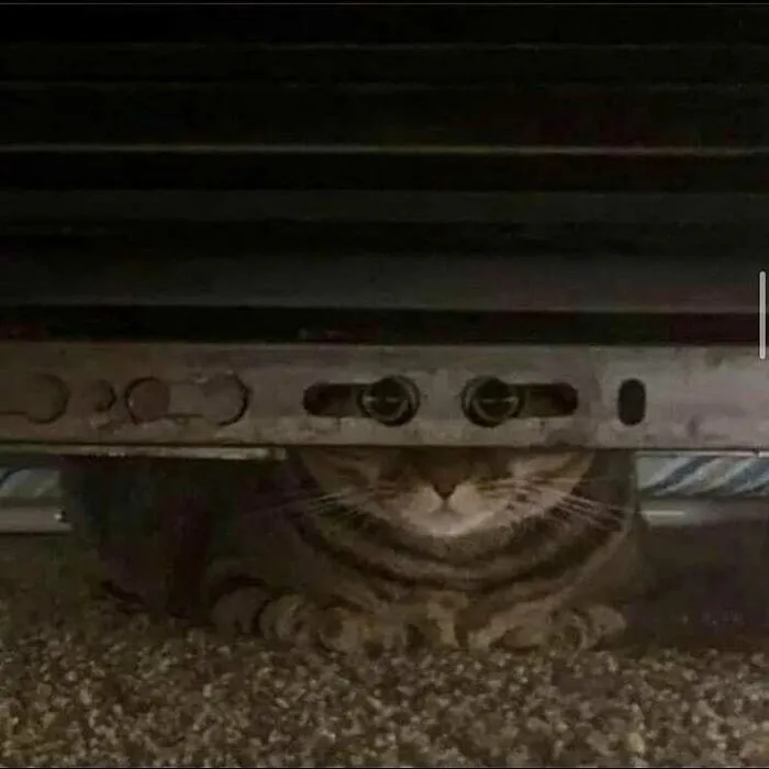👁️ 👁️