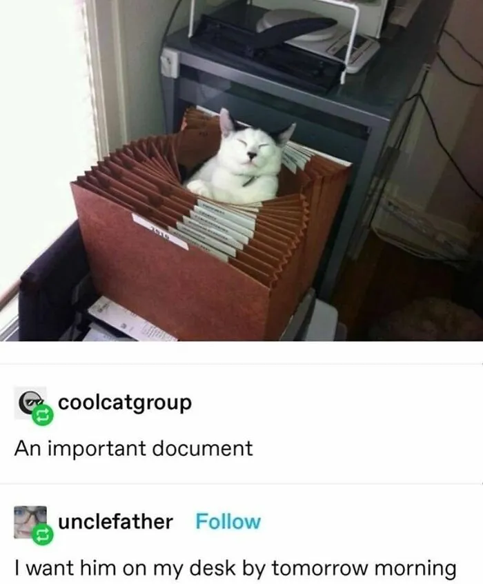 Very Important