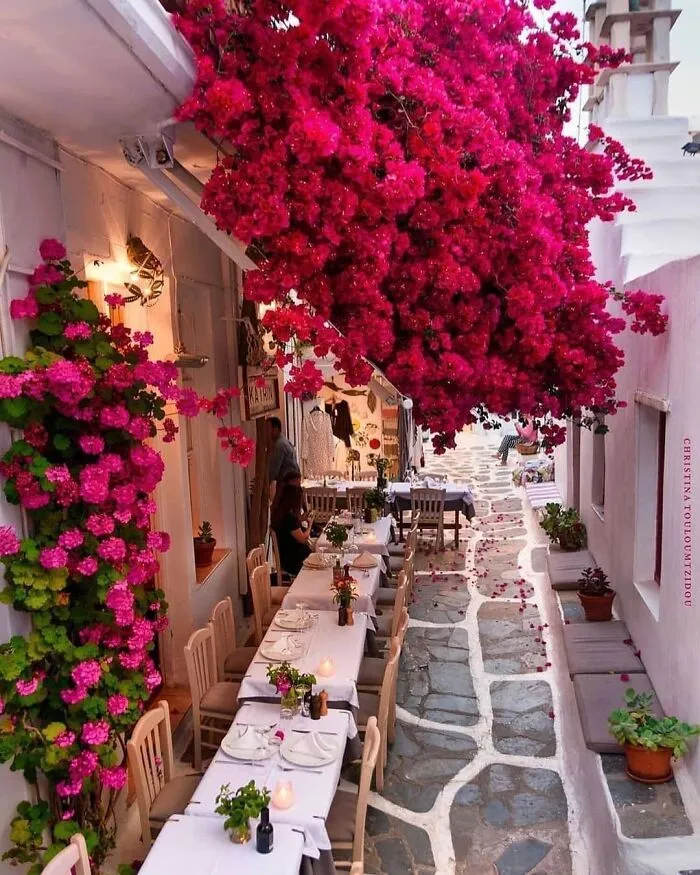 Stunning Blooming Spot