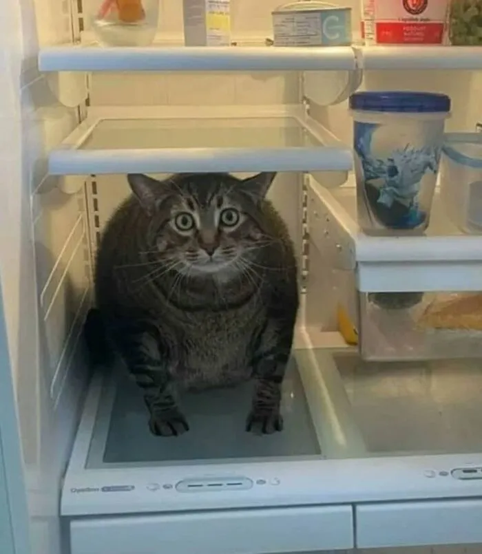 Hmmmm, delicioso