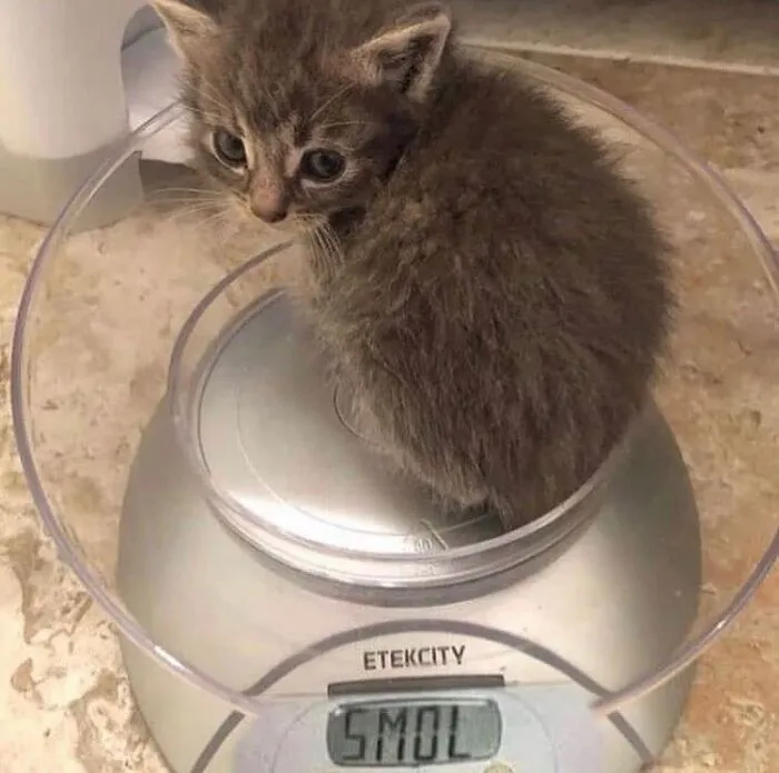 So Tiny