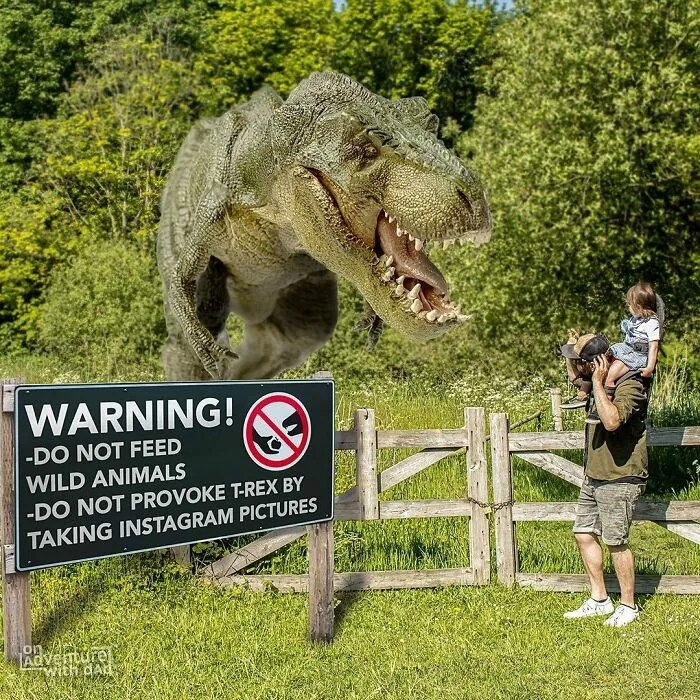 We Went For A Little Walk To The Local Park. It’s Amazing To See How The Local Wildlife Find Their Way