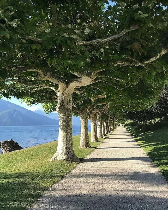 Los jardines de Villa Melzi