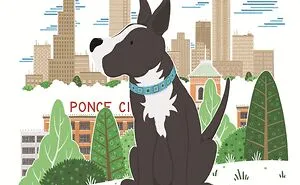 Pet Portraits