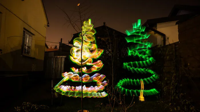Two Christmas Trees