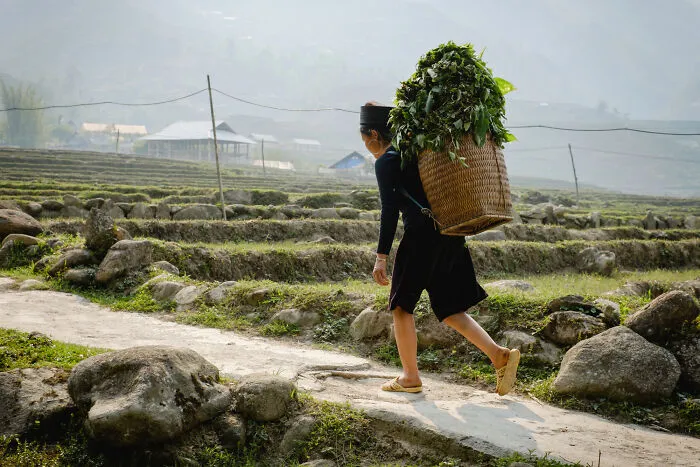 Photographer Captured His Travels From Southern To Northern Vietnam (30 Pics)