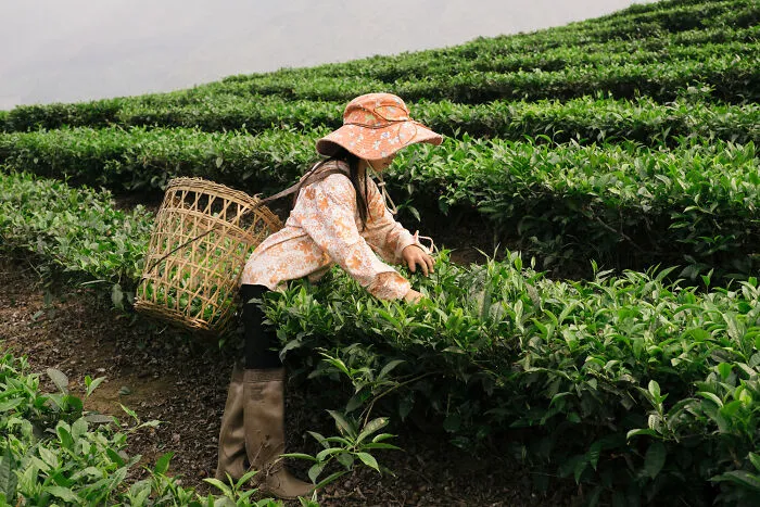 Photographer Captured His Travels From Southern To Northern Vietnam (30 Pics)
