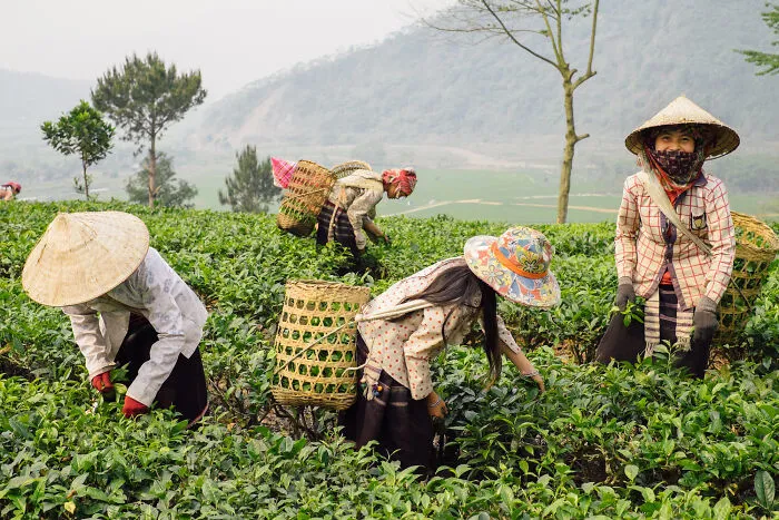 Photographer Captured His Travels From Southern To Northern Vietnam (30 Pics)