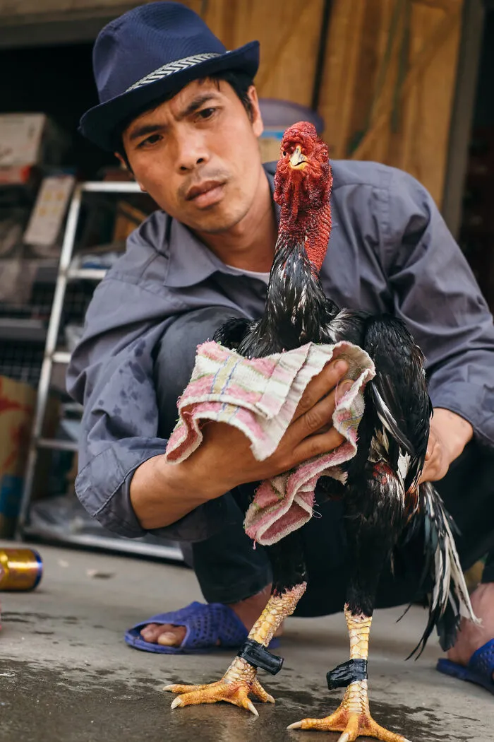 Photographer Captured His Travels From Southern To Northern Vietnam (30 Pics)