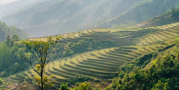 Photographer Captured His Travels From Southern To Northern Vietnam (30 Pics)