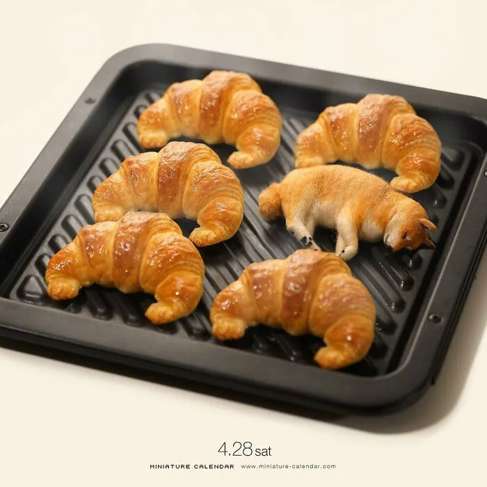 Japanese Artist Has Been Creating Miniature Dioramas Every Day For Seven Years (45 New Pics)