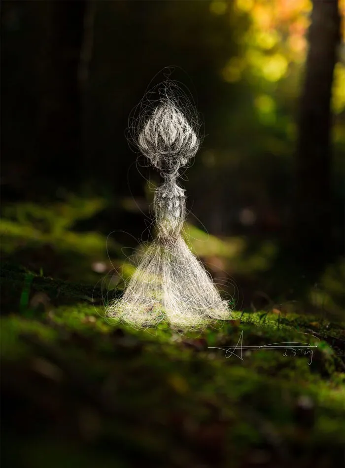 My Illustrations Of Animals And Cute Things In The Forest