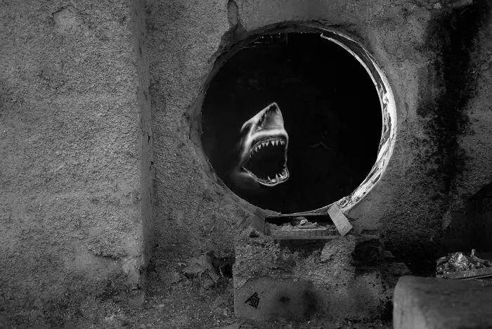 Shark, By JPS