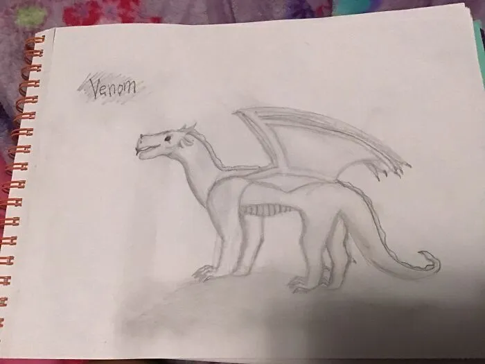 I’ve Been Practicing For A While Now. This Is My Sandwing Venom.