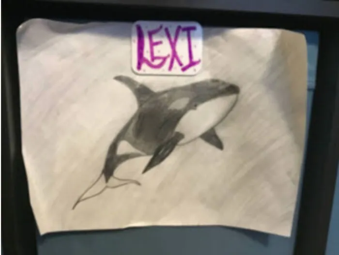 Lexi