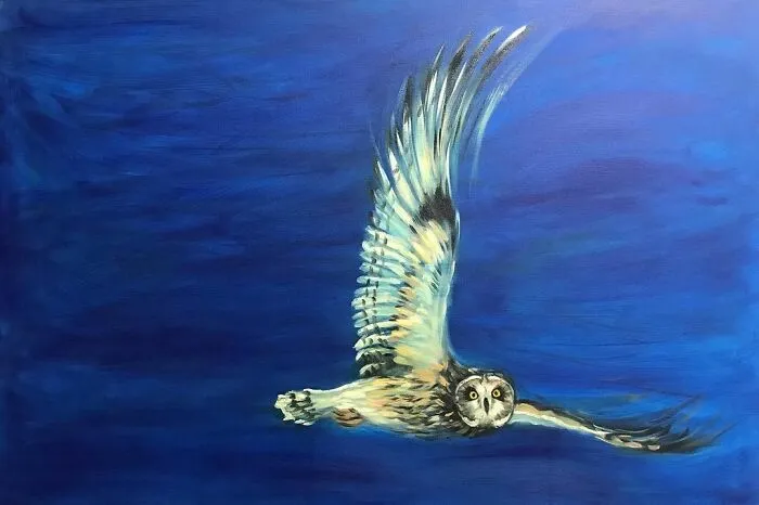 Silent Flight