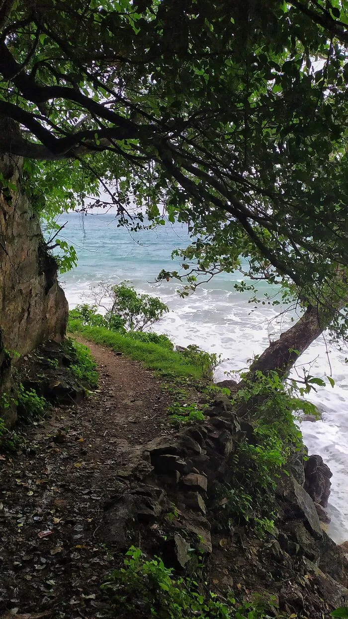 Camino junto al mar en una isla