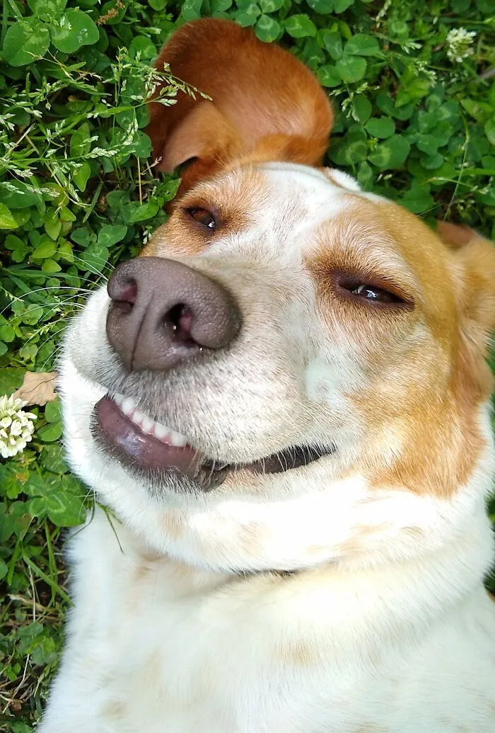 How You Doin'?