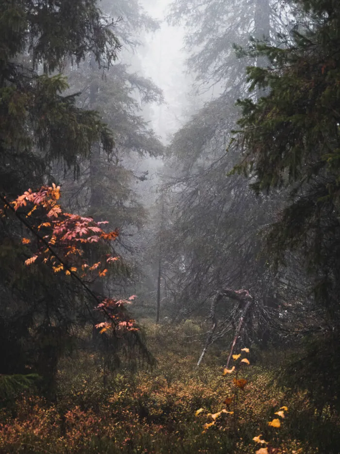 Here Are 34 Eerily Beautiful Liminal Spaces I Captured (34 Pics)