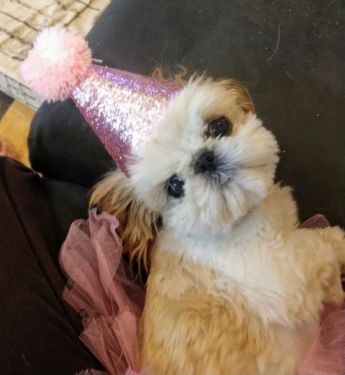 Birthday Girl